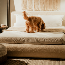 Load image into Gallery viewer, Gaia Bed - Fabric